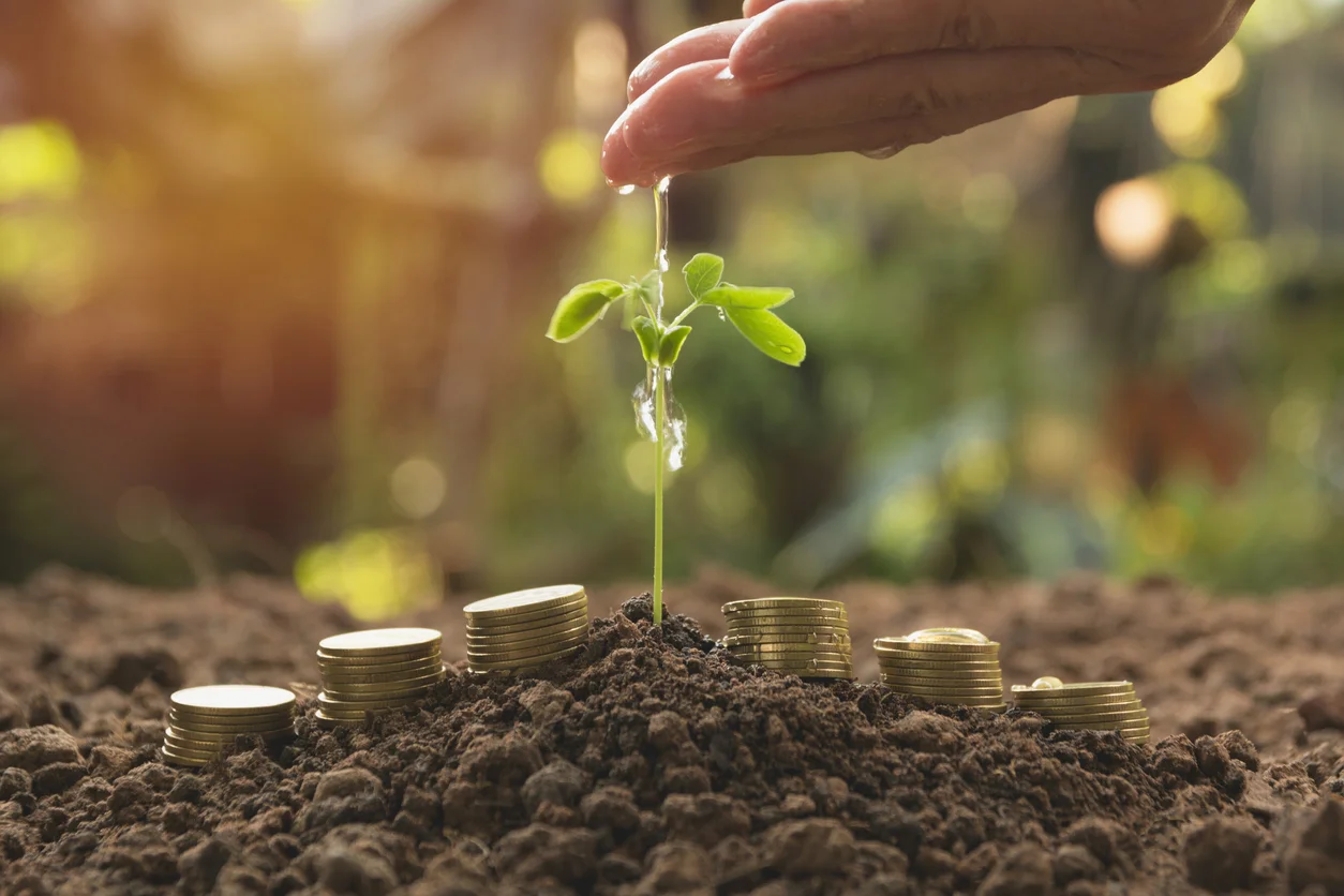 Agriculture investments